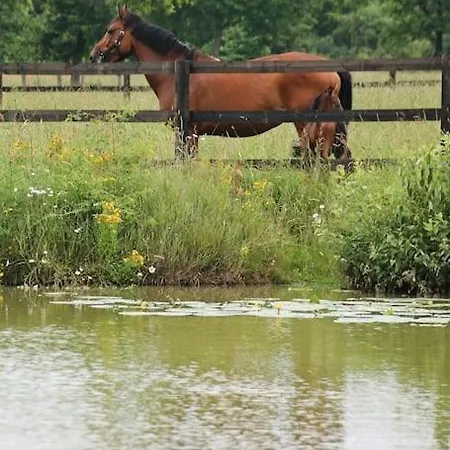 Apartmán Au Coeur D'un Haras Avec Acces A L'etang Chasse